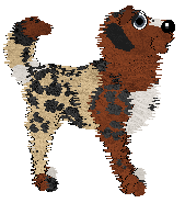 Brown and cream mutt with black spots posing facing the right.